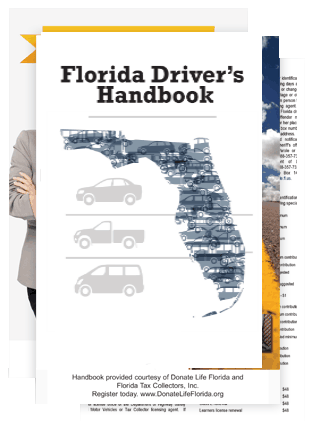 DMV Florida Drivers Handbook