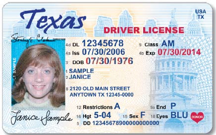 Texas Driver's License of a woman with brown hair.