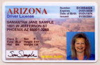 Arizona Driver's License