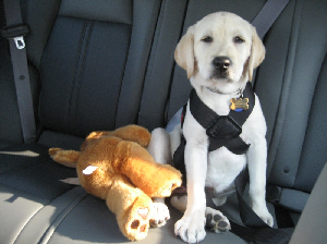 defensive driving otherseat