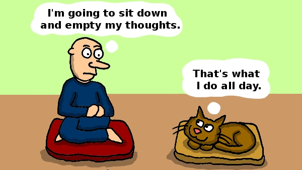 Meditate
