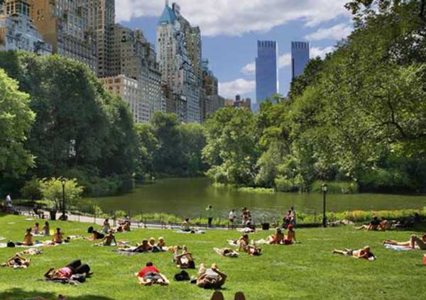 NewYorkSummer defensive driving