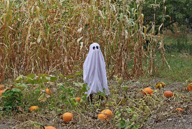 ghost car