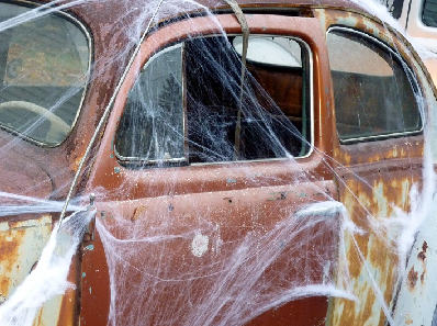 spiderweb car