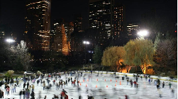 Rink