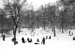 snow