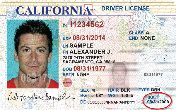 Ultimate Guide to Getting Your Driver's License in Illinois