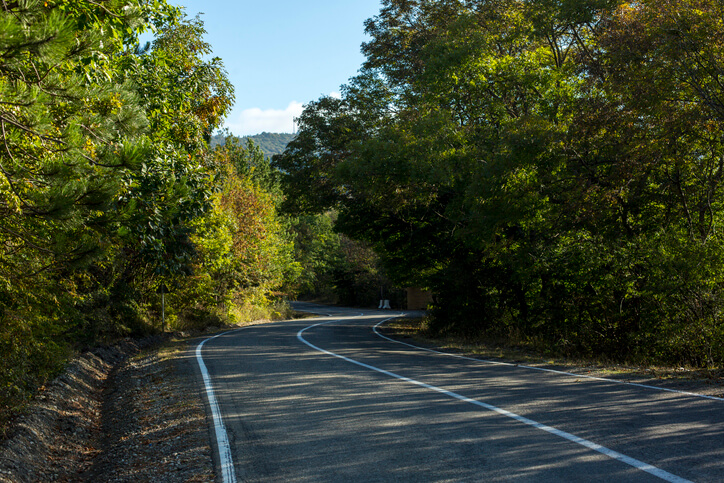 The kind of picturesque Georgia roadway that can lead to GA license points.